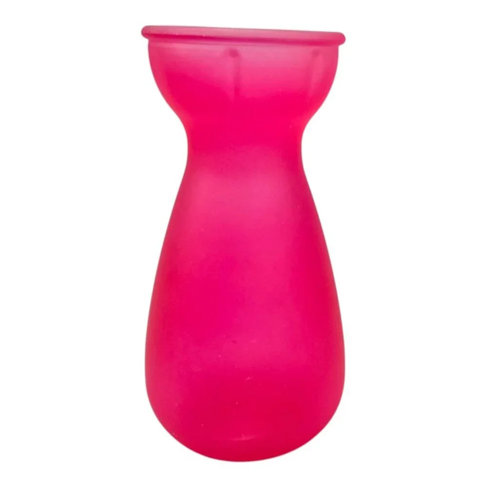Lot 4 Mini Frosted Glass Bulb Forcing‎ Vase Crocus Purple Pink Product of ECC